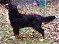 Greta